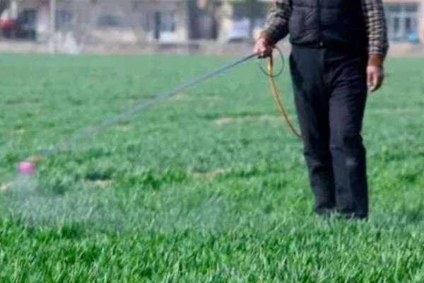 小麦冬季管理方法，要做好以下四防