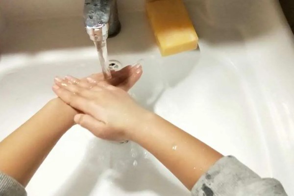 绿萝有哪些好处，可以美化环境、陶冶情操