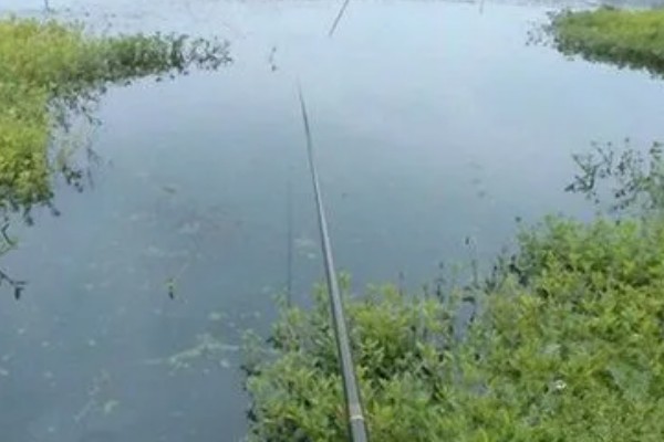 冬季钓鱼技巧，建议在气温高且晴朗的天气出钓