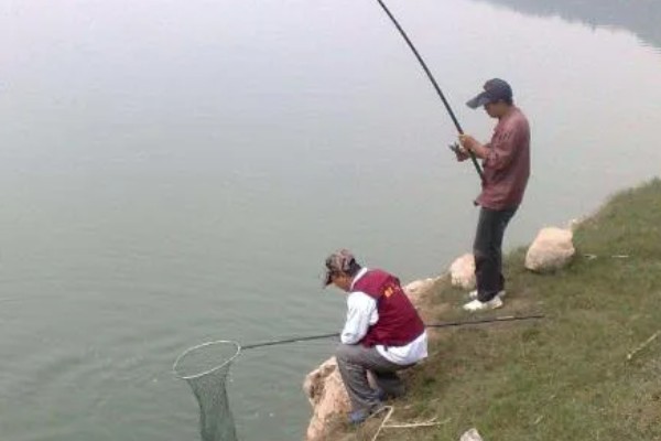 冬季钓鱼技巧，建议在气温高且晴朗的天气出钓