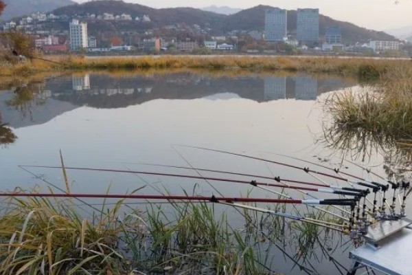 冬季钓鱼技巧，建议在气温高且晴朗的天气出钓