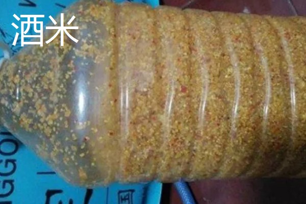 冬季钓鱼技巧，建议在气温高且晴朗的天气出钓