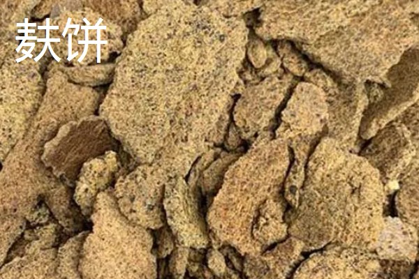 冬季钓鱼技巧，建议在气温高且晴朗的天气出钓