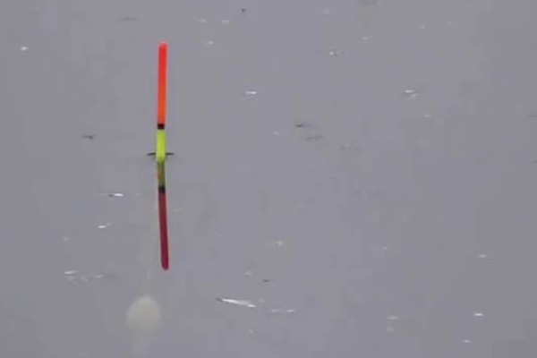 冬季钓鱼技巧，建议在气温高且晴朗的天气出钓