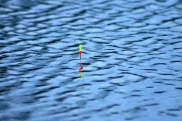 冬季钓鱼技巧，建议在气温高且晴朗的天气出钓