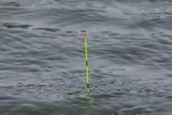 冬季钓鱼技巧，建议在气温高且晴朗的天气出钓