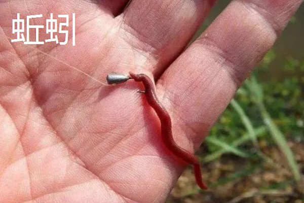 冬季钓鱼技巧，建议在气温高且晴朗的天气出钓