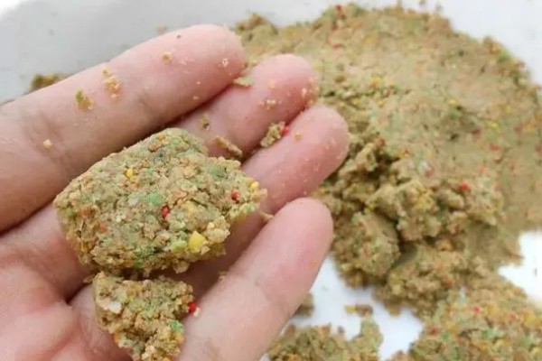 冬季钓鱼技巧，建议在气温高且晴朗的天气出钓