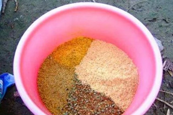 冬季钓鱼技巧，建议在气温高且晴朗的天气出钓