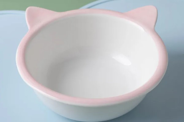 怎样选猫水碗，需要从材质、容量和口径等方面选择