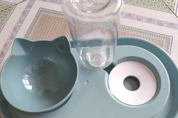 怎样选猫水碗，需要从材质、容量和口径等方面选择