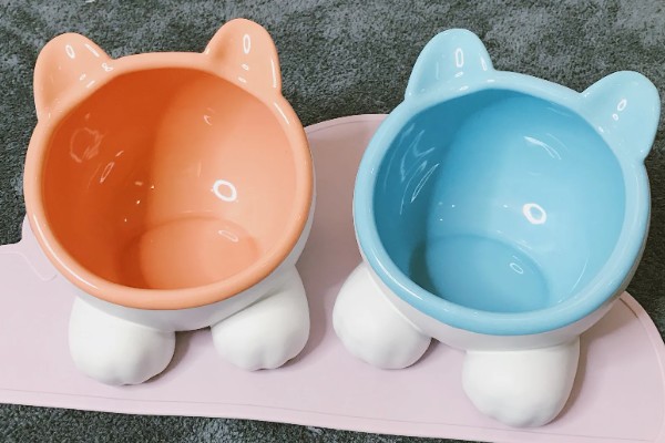 怎样选猫水碗，需要从材质、容量和口径等方面选择