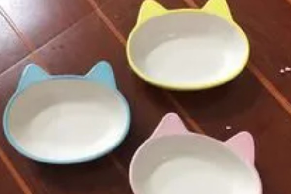 怎样选猫水碗，需要从材质、容量和口径等方面选择