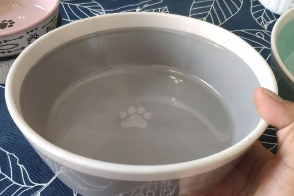 怎样选猫水碗，需要从材质、容量和口径等方面选择