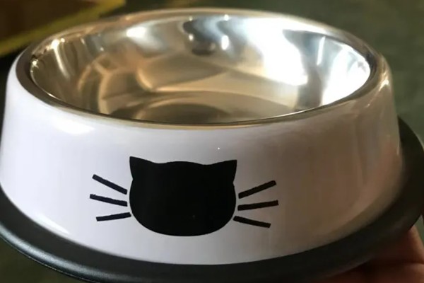 怎样选猫水碗，需要从材质、容量和口径等方面选择