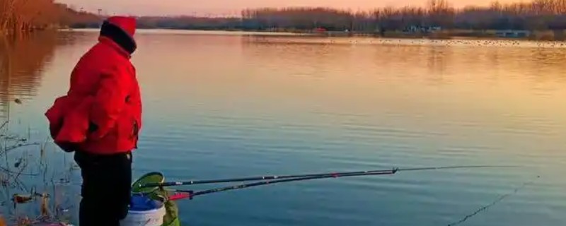 冬季钓鱼技巧，建议在气温高且晴朗的天气出钓