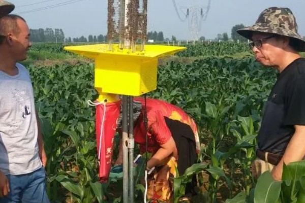 玉米防治病虫打哪种药，针对不同害虫选择不同的药