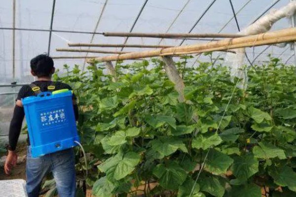 新型肥料什么时候使用，不同种类的使用时期不同