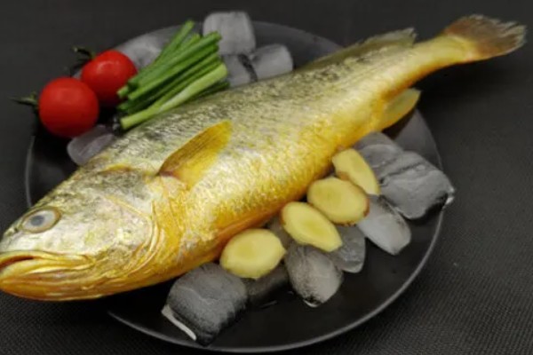 黄花鱼和黄姑鱼的区别，科属、外形、肉质都不同