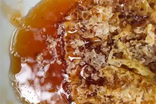 土蜂蜜是什么蜂蜜,是我国的本土蜂种产的蜜