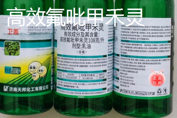玉米对什么除草剂很敏感，要谨慎使用精喹禾灵、高效氟吡甲禾灵等药物