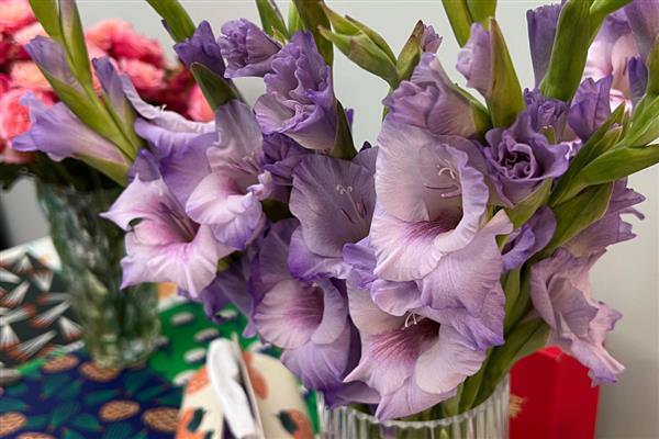 给退伍军人送哪种花，推荐向日葵、百合花等