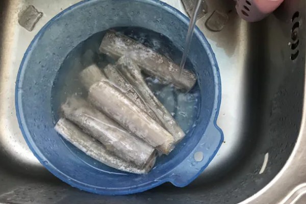 带鱼的种类,常见的有白带鱼、短带鱼等