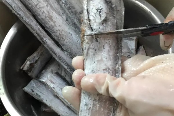 带鱼的种类,常见的有白带鱼、短带鱼等