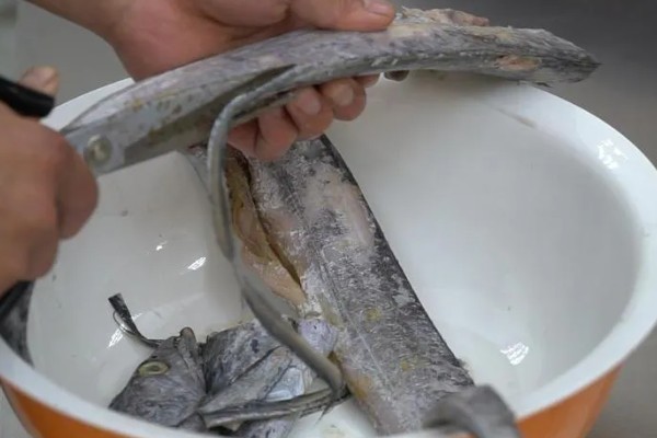 带鱼的种类,常见的有白带鱼、短带鱼等