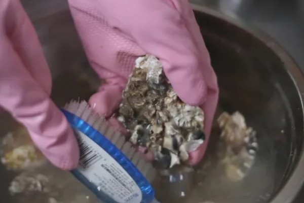 牡蛎有哪些保存方式，最多在冰柜中保存6天