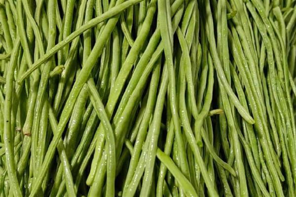 夏季蔬菜的品种，常见的有丝瓜、冬瓜和黄瓜等