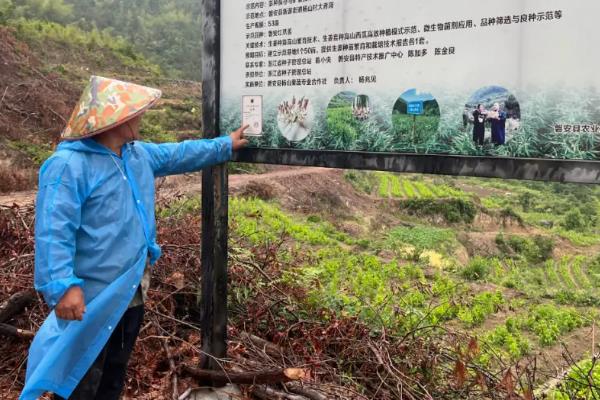 农业生产合作社和人民公社的区别，组织形式、运行机制均不同