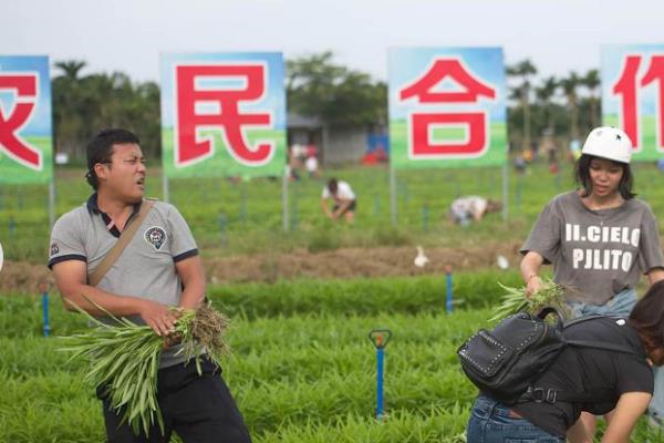 农业生产合作社和人民公社的区别，组织形式、运行机制均不同