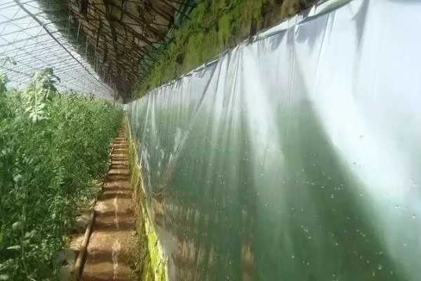 大棚蔬菜的除草技术，可以覆盖黑色地膜来防草