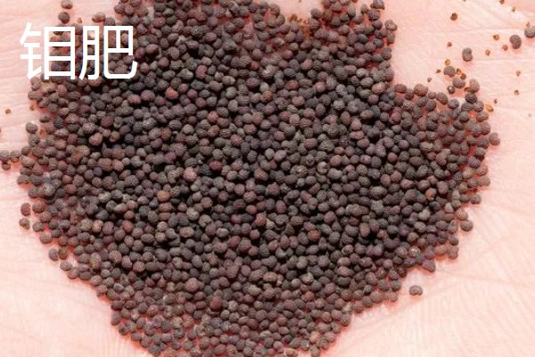 种子直接施微肥的方法，可拌种也可浸种