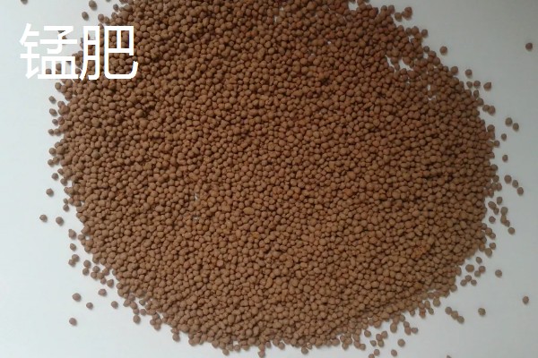 种子直接施微肥的方法，可拌种也可浸种