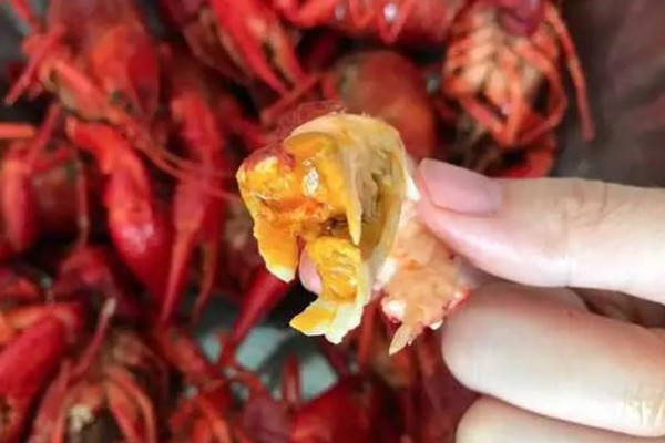 小龙虾头部里的黄是什么东西，是小龙虾的肝脏、腺体