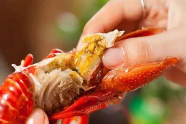 小龙虾头部里的黄是什么东西，是小龙虾的肝脏、腺体
