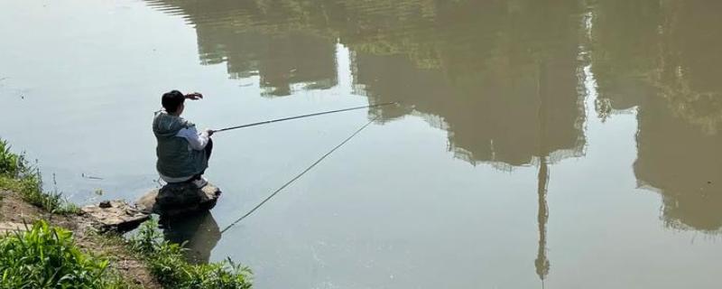 钓鱼竿怎么选择，可根据材质、参数和调性来选择