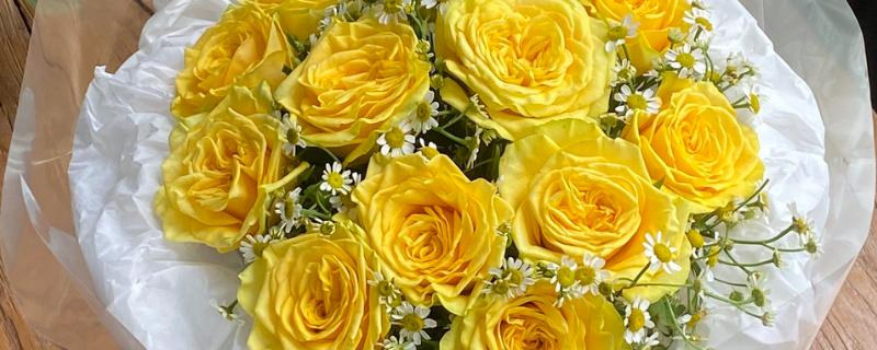黄玫瑰能送女朋友吗，黄玫瑰能送给女朋友