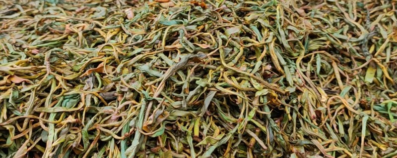 茶是怎么发酵而来，要经过萎凋、揉切、发酵等工序
