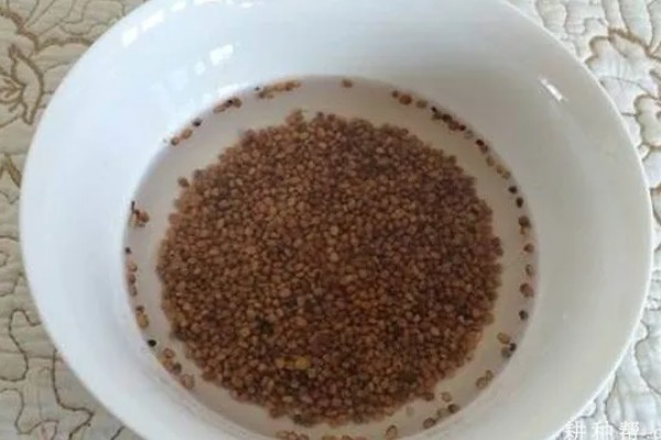 萝卜的种植方法，用点播的方法进行播种