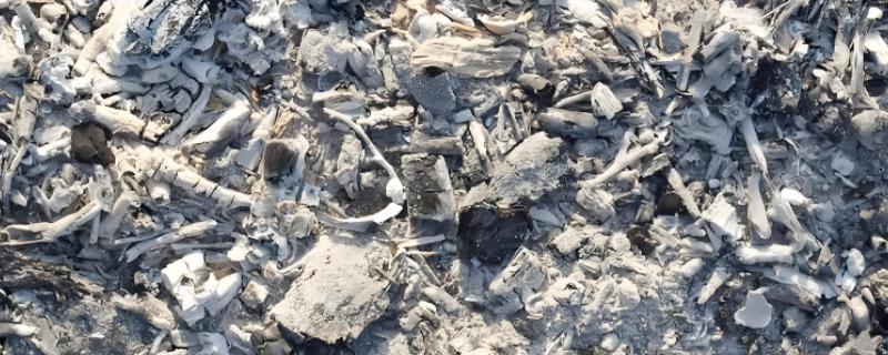 木炭灰是酸性的吗，木炭灰是碱性肥料