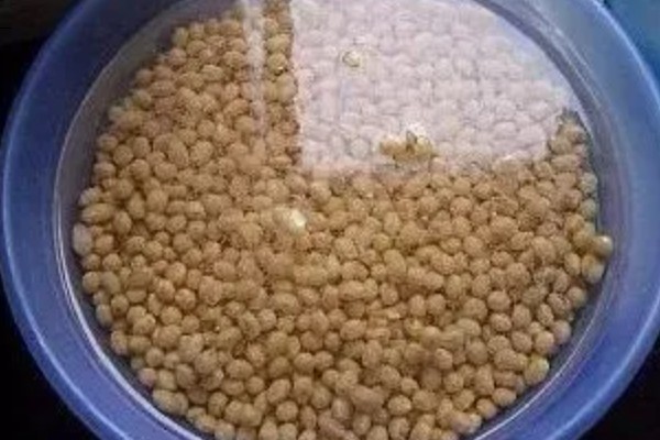 如何掌握缩节胺的用量，蕾期每亩用0.5-1克
