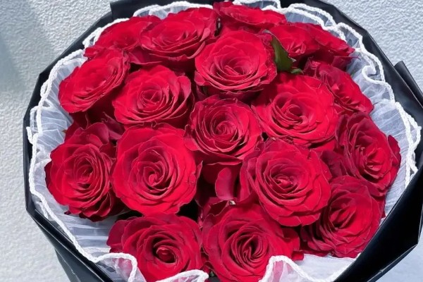 22朵玫瑰花的花语，寓意两情相悦、成双成对等