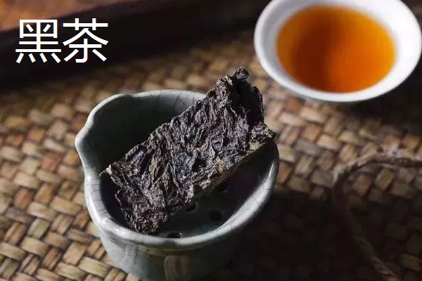 普洱茶是什么茶，是黑茶的一种