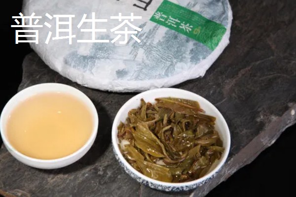 普洱茶是什么茶，是黑茶的一种