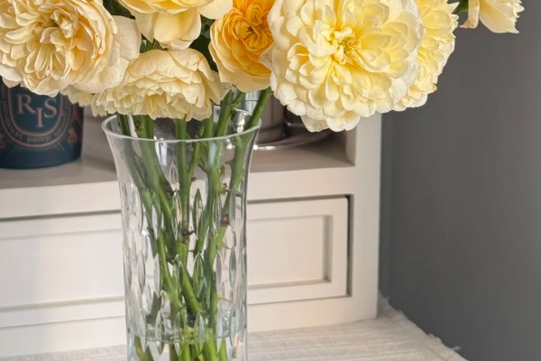 果汁玫瑰的养殖方法，可采取水培的方法