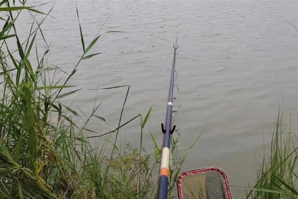 垂钓白条鱼的钓点，春季最适合在水草丰茂的水域作钓