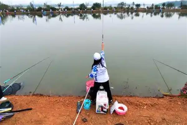 垂钓白条鱼的钓点，春季最适合在水草丰茂的水域作钓
